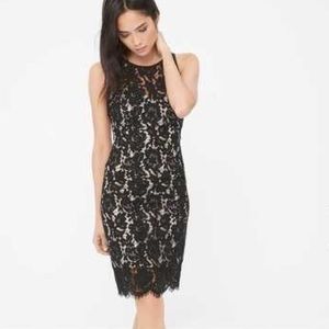 White House Black Market lace sheath dress Sz.2